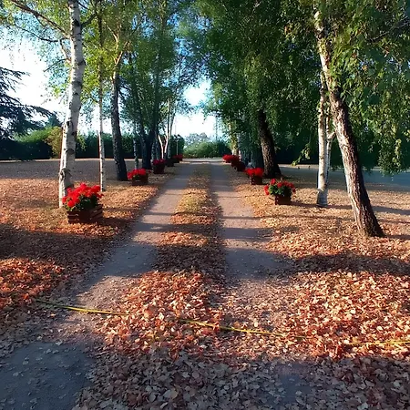 Entre Brionnais Et Bourbonnais 3*
