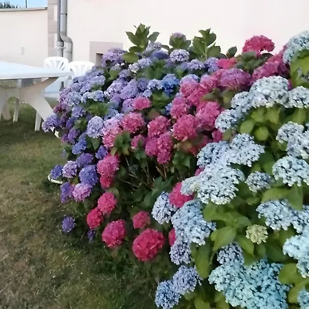 Entre Brionnais Et Bourbonnais 3*
